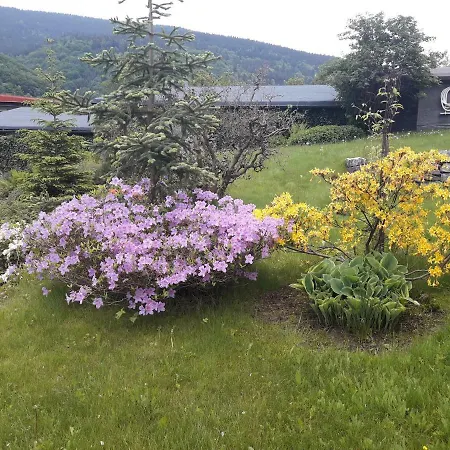 Guest house Praminek, Horni Marsov, Krkonose Horni Marsov